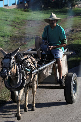 1584 Vacances  Cuba en avril 2017 - IMG_6881 DxO Pbase.jpg