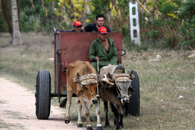 2426 Vacances  Cuba en avril 2017 - IMG_7793 DxO Pbase.jpg