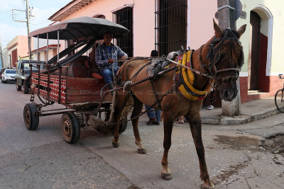 2783 Vacances  Cuba en avril 2017 - IMG_8181 DxO Pbase.jpg