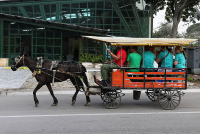 3342 Vacances  Cuba en avril 2017 - IMG_8778 DxO Pbase.jpg