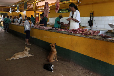 5707 Vacances  Cuba en avril 2017 - IMG_1381 DxO Pbase.jpg