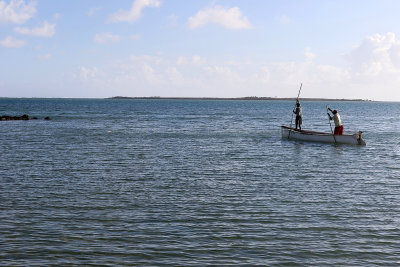 619 - Vacances ile Rodrigues janvier 2017 - IMG_2588_DxO Pbase.jpg