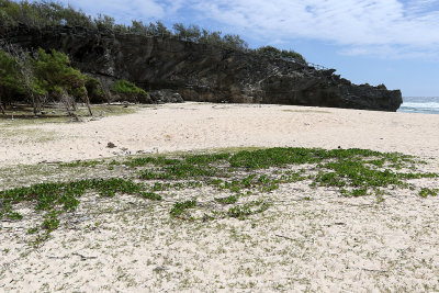 656 - Vacances ile Rodrigues janvier 2017 - IMG_2629_DxO Pbase.jpg