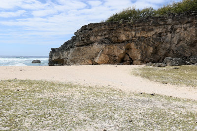 680 - Vacances ile Rodrigues janvier 2017 - IMG_2647_DxO Pbase.jpg