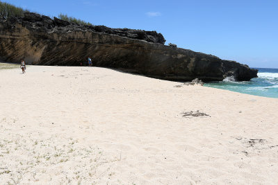 713 - Vacances ile Rodrigues janvier 2017 - IMG_2677_DxO Pbase.jpg