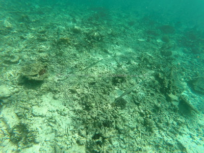 508 - Snorkeling ile Rodrigues janvier 2017 - GOPR6345 DxO Pbase.jpg