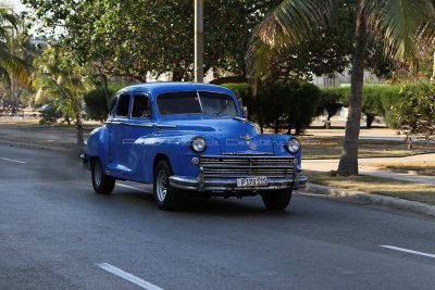 056 Vacances  Cuba en avril 2017 - IMG_5285 DxO Pbase.jpg