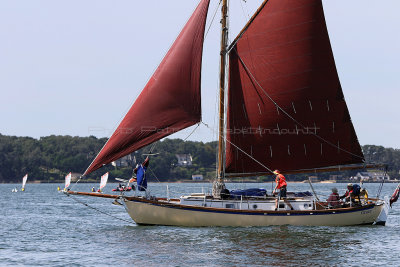 77 Semaine du Golfe 2017 - IMG_2617_DxO Pbase.jpg