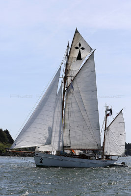 315 Semaine du Golfe 2017 - IMG_2792_DxO Pbase.jpg