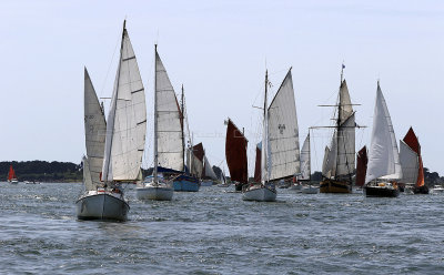 321 Semaine du Golfe 2017 - IMG_2798_DxO Pbase.jpg