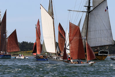 369 Semaine du Golfe 2017 - IMG_2832_DxO Pbase.jpg