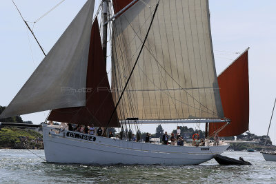 398 Semaine du Golfe 2017 - IMG_2851_DxO Pbase.jpg