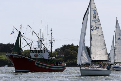 456 Semaine du Golfe 2017 - IMG_2904_DxO Pbase.jpg