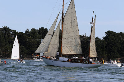 464 Semaine du Golfe 2017 - IMG_2912_DxO Pbase.jpg