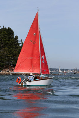 475 Semaine du Golfe 2017 - IMG_2923_DxO Pbase.jpg