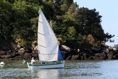 780 Semaine du Golfe 2017 - IMG_3217 DxO Pbase.jpg