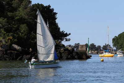 782 Semaine du Golfe 2017 - IMG_3219 DxO Pbase.jpg