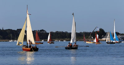 810 Semaine du Golfe 2017 - IMG_3244 DxO Pbase.jpg