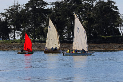 817 Semaine du Golfe 2017 - IMG_3251 DxO Pbase.jpg