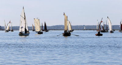 827 Semaine du Golfe 2017 - IMG_3261 DxO Pbase.jpg