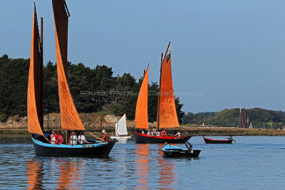 870 Semaine du Golfe 2017 - IMG_3304 DxO Pbase.jpg