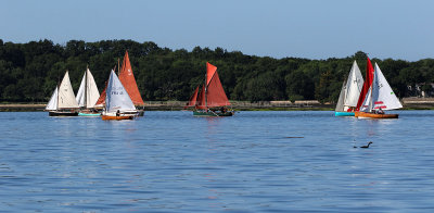 907 Semaine du Golfe 2017 - IMG_3341 DxO Pbase.jpg