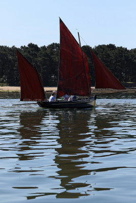 910 Semaine du Golfe 2017 - IMG_3344 DxO Pbase.jpg