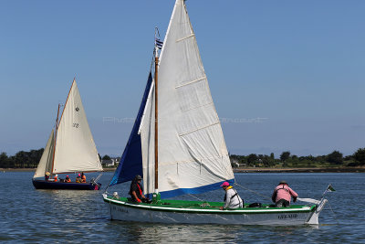 1076 Semaine du Golfe 2017 - IMG_3501 DxO Pbase.jpg