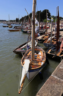 1136 Semaine du Golfe 2017 - IMG_3536 DxO Pbase.jpg