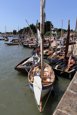 1137 Semaine du Golfe 2017 - IMG_3537 DxO Pbase.jpg