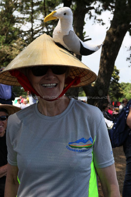 1310 Semaine du Golfe 2017 - IMG_3667 DxO Pbase.jpg