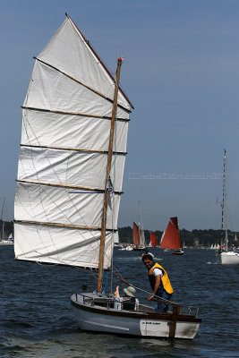 721 Semaine du Golfe 2017 - IMG_3161_DxO Pbase.jpg