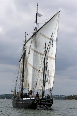 1489 Semaine du Golfe 2017 - IMG_3834 DxO Pbase.jpg