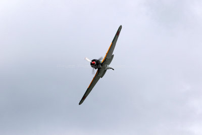 915 Meeting aerien de la Ferte Alais 2017 - IMG_8112 DxO Pbase.jpg