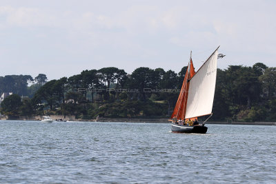 1520 Semaine du Golfe 2017 - IMG_3864 DxO Pbase.jpg