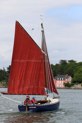 1549 Semaine du Golfe 2017 - IMG_3893 DxO Pbase.jpg