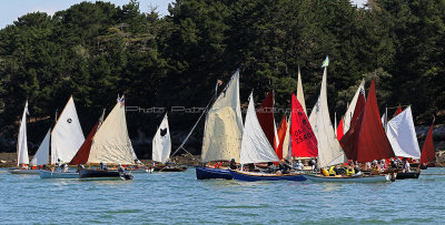 1844 Semaine du Golfe 2017 - IMG_4172 DxO Pbase.jpg