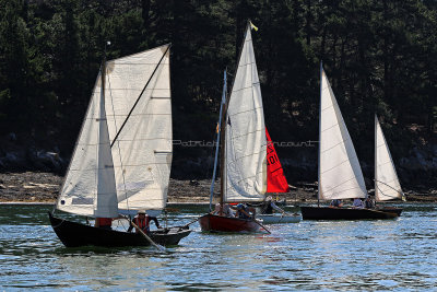 1911 Semaine du Golfe 2017 - IMG_4235 DxO Pbase.jpg