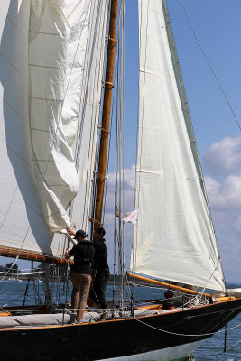 2119 Semaine du Golfe 2017 - IMG_4387 DxO Pbase.jpg