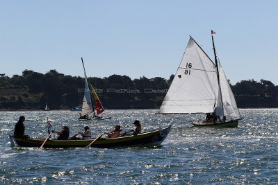 2674 Semaine du Golfe 2017 - IMG_4837 DxO Pbase.jpg