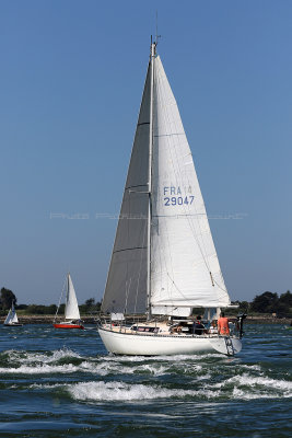 2769 Semaine du Golfe 2017 - IMG_4933 DxO Pbase.jpg