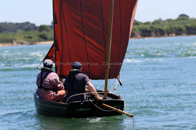 2976 Semaine du Golfe 2017 - IMG_5106 DxO Pbase.jpg