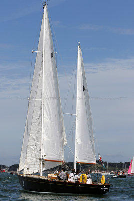 4651 Semaine du Golfe 2017 - La Grande Parade - IMG_6607_DxO Pbase.jpg