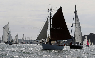 5234 Semaine du Golfe 2017 - La Grande Parade - IMG_7111_DxO Pbase.jpg