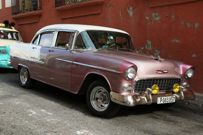 1395 Vacances  Cuba en avril 2017 - IMG_6673 DxO Pbase.jpg