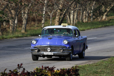 3835 Vacances  Cuba en avril 2017 - IMG_9313 DxO Pbase.jpg