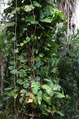 3863 Vacances  Cuba en avril 2017 - IMG_9352 DxO Pbase.jpg