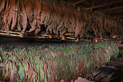 4010 Vacances  Cuba en avril 2017 - IMG_9518 DxO Pbase.jpg