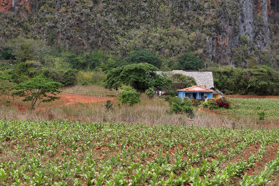 4106 Vacances  Cuba en avril 2017 - IMG_9626 DxO Pbase.jpg