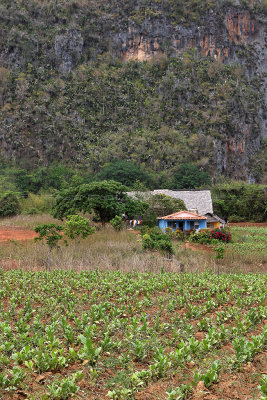 4108 Vacances  Cuba en avril 2017 - IMG_9628 DxO Pbase.jpg